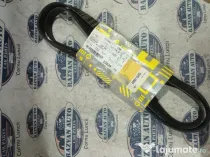 Curea transmisie cu caneluri Renault Laguna