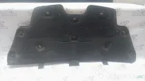 Pâsla capotă Ford Fiesta 2019