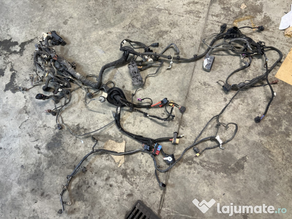 Instalatie motor Skoda Kodiaq 2.0 Motorina 2018