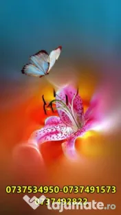 Masaj Relaxare Bucuresti 