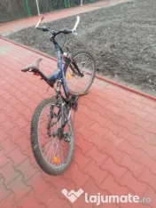 Biciclete Olanda in stare buna