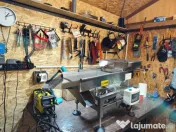 Selector seminte de mustar 