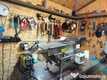 Selector seminte de mustar