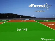 Loturi de casă 720 - 900 mp, langă Pădure în eForest, acces asfaltat 