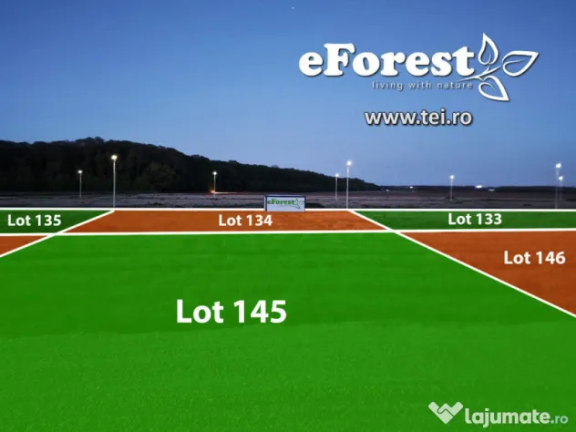 Loturi de casă 720 - 900 mp, langă Pădure în eForest, acces asfaltat