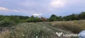 Oportunitate teren zona agrement sau parc eolian,Sibiu 