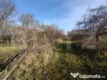 Teren extravilan, (livada pomi) 1,50 ha - zona Subcetate