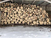 Depozit lemn de foc verde sau uscat Botosani.