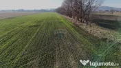 Teren extravilan cu potențial ridicat | Hărman, zonă d... 