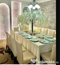 Scaune piele ecologica