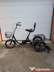 Tricicleta copii (bicicleta cu trei roti) 