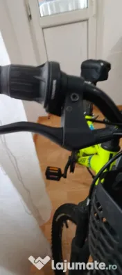 Bicicleta pentru copii 