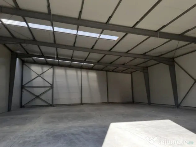 Hale de cate 600 mp - Afumati (Bucuresti-Ilfov)