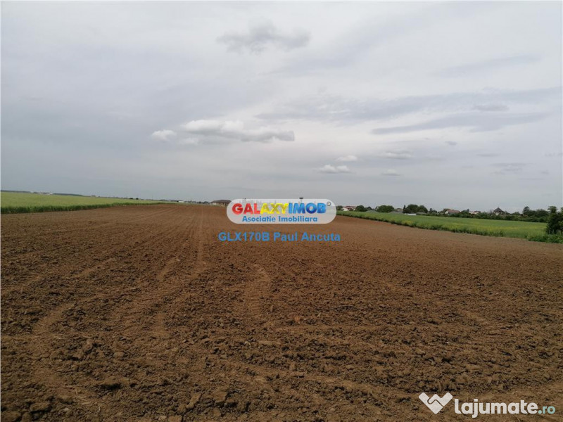 Teren Balotesti str Lunii 7400 mp intravilan