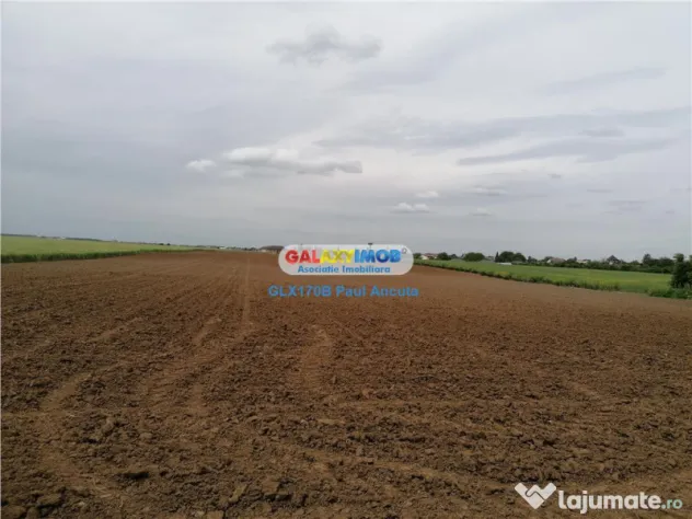 Teren Balotesti str Lunii 7400 mp intravilan
