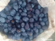 Palinca de prune 