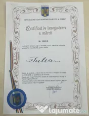 Masina de Spalat cu Butoi / Bidon 