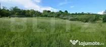 Teren intravilan, 9100 mp, zona Crainimat