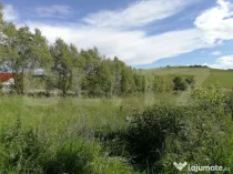 Teren intravilan 50 arii Tofalau Sat