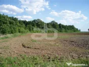 OCAZIE!!! Teren lipit de pădure cu acces foarte facil la DN1 