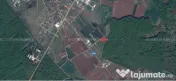 OCAZIE!!! Teren lipit de pădure cu acces foarte facil la DN1 