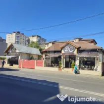 Oportunitate Unică Vilă de Vis în Zona Centrala si doua