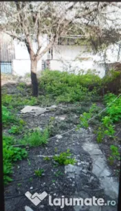Teren pentru casa-Bucurestii Noi-pozitie foarte buna 