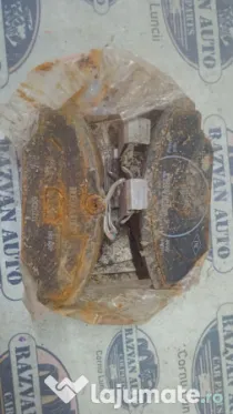 Placute fata Renault Clio