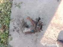Fuzeta stanga fata Ford Focus 2 1.6 Benzina 2008