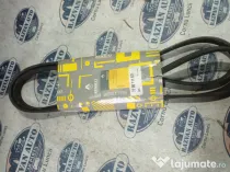 Curea transmisie cu caneluri Renault Kangoo