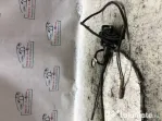 Antena Renault Kadjar 2014