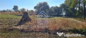 Teren constructie casa, Ilies, Dolhasca