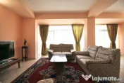 DOROBANTI-TUDOR STEFAN, APARTAMENT 123 MP, SINGUR PE NIVEL! 