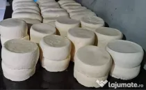 Brânză de vaca buna