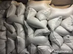 Porumb, ambalat la sac de 40 kg