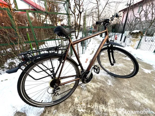 Bicicleta adulti cu amortizoare Merida 29inch