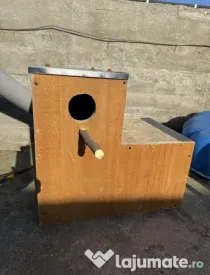 Execut vand cuiburi papagali