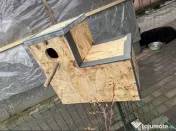 Execut vand cuiburi papagali