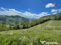 Intravilan de vânzare în Satul Plopi, se poate parcela Com