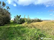 Livada+gradina, teren intravilan 2902mp, Damienesti-Bacau... 