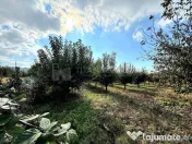 Livada+gradina, teren intravilan 2902mp, Damienesti-Bacau... 
