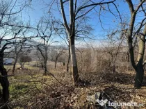Teren intravilan de vanzare, 17700 mp Zalau