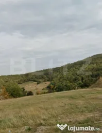 Teren intravilan de vanzare, 15 ari, Zalau