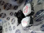Set Centuri Fata BMW X1 2010