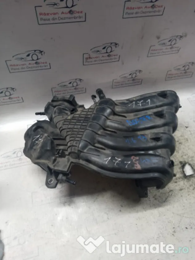 Galerie Admisie Plastic Dacia Duster 1.6 Benzina 2019