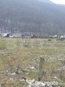 Oportunitate! TEREN INTRAVILAN CU SUPRAFATA DE 5200 MP