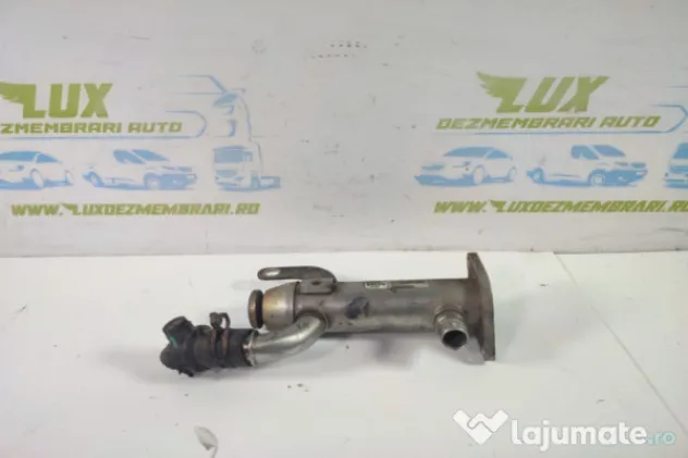 Racitor gaze egr 2.0tdci qxba 8653691 Ford Galaxy 2 [2006 -