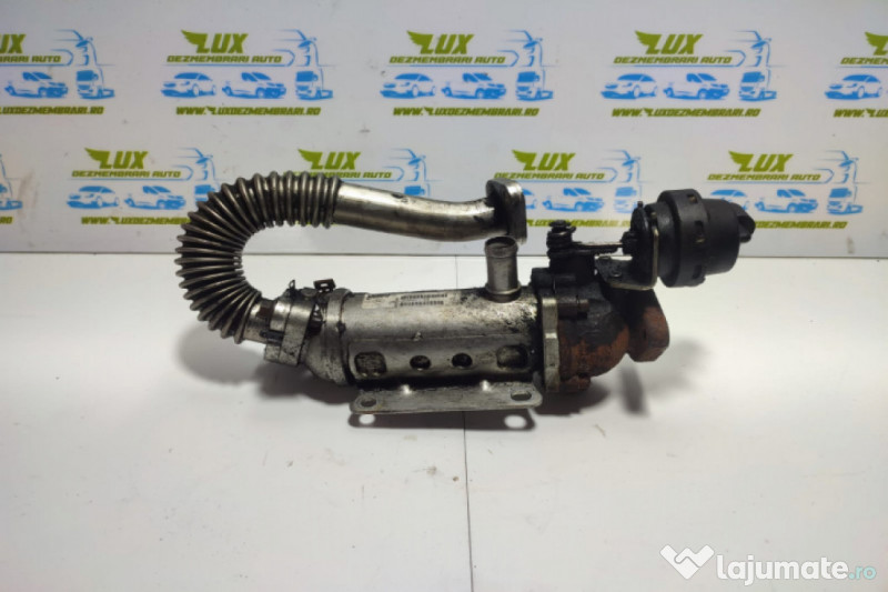 Racitor gaze egr 2.0 dci m9r 8200611709 Nissan Qashqai [20