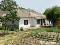 Casă de vanzare, situată in MIHAIL KOGALNICEANU