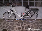 Biciclete electrice import